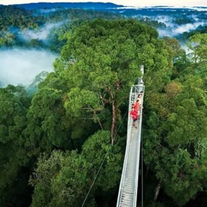 Monte Verde Cloud Forest  Hannging Bridge Combo