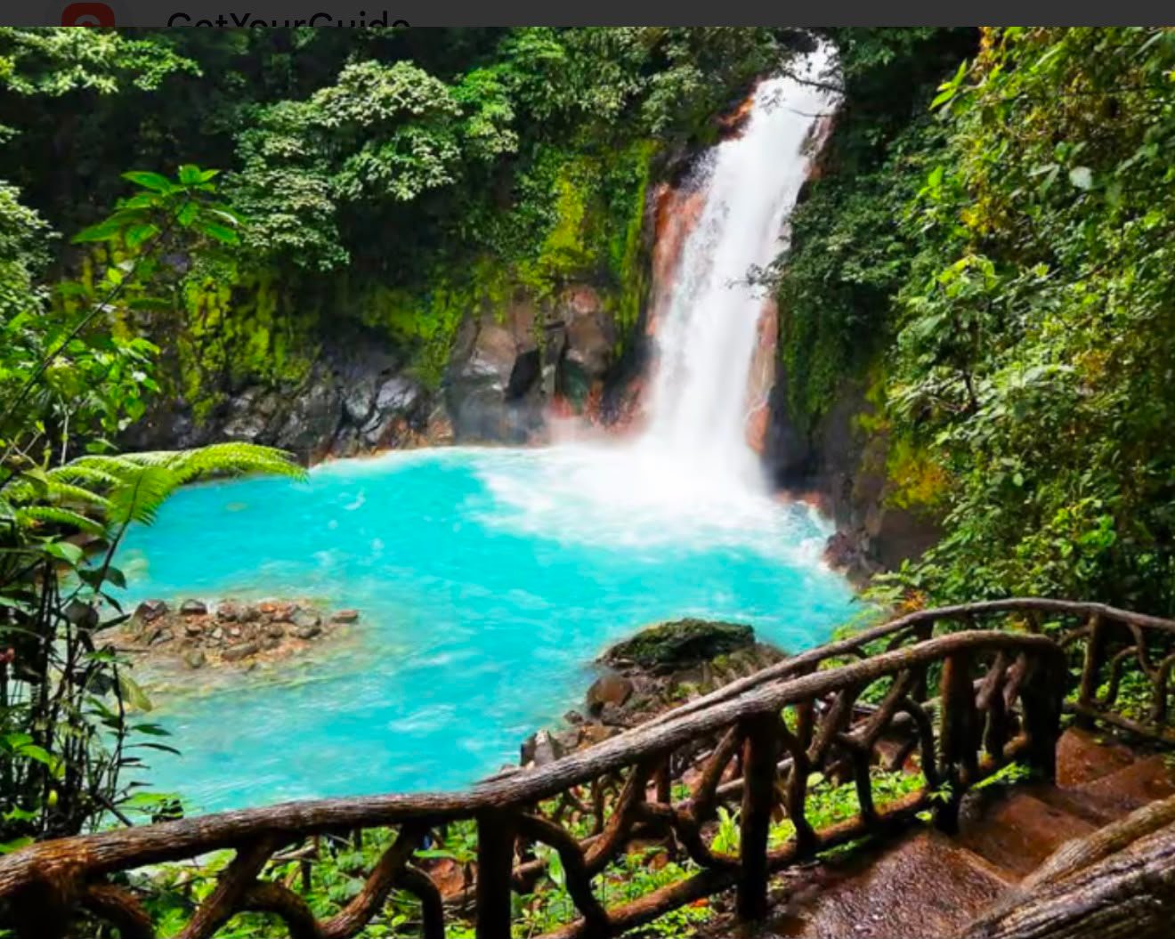 Costa Rica rainforest